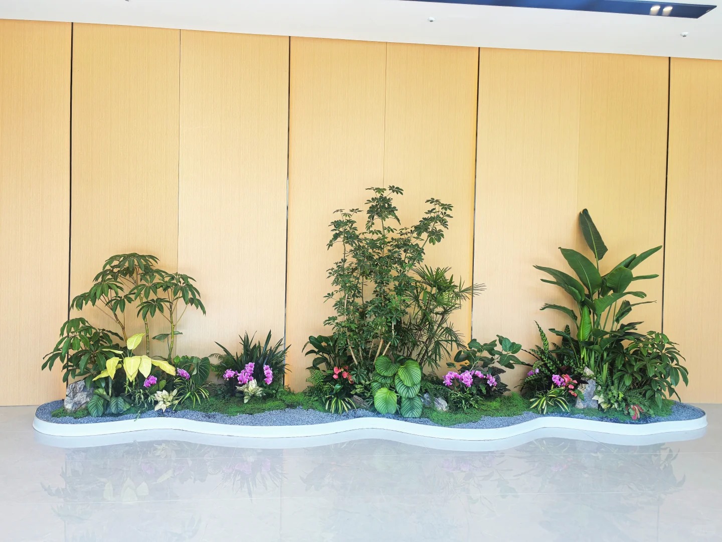 余姚植物出租超实惠,多种绿植任你选!