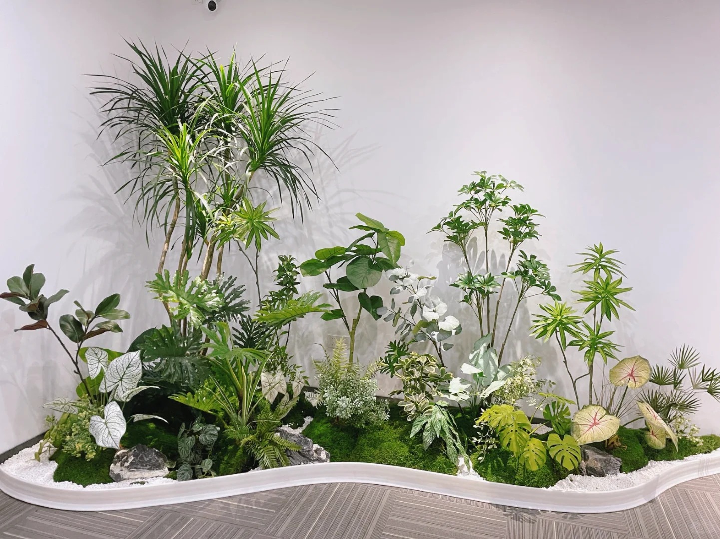 余姚植物出租超实惠,多种绿植任你选!